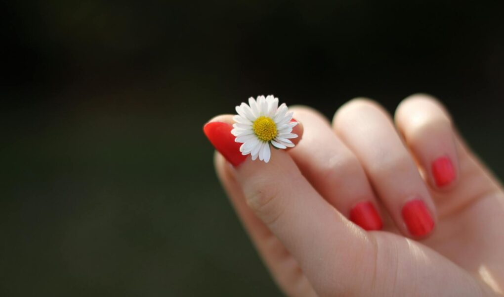 Jak zrobić stokrotki na paznokciach? Krok po kroku do kwiatowego manicure