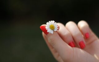 Jak zrobić stokrotki na paznokciach? Krok po kroku do kwiatowego manicure