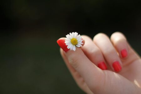 Jak zrobić stokrotki na paznokciach? Krok po kroku do kwiatowego manicure